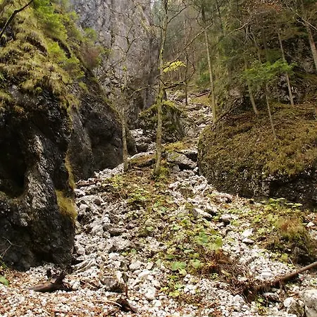 Petra 酒店